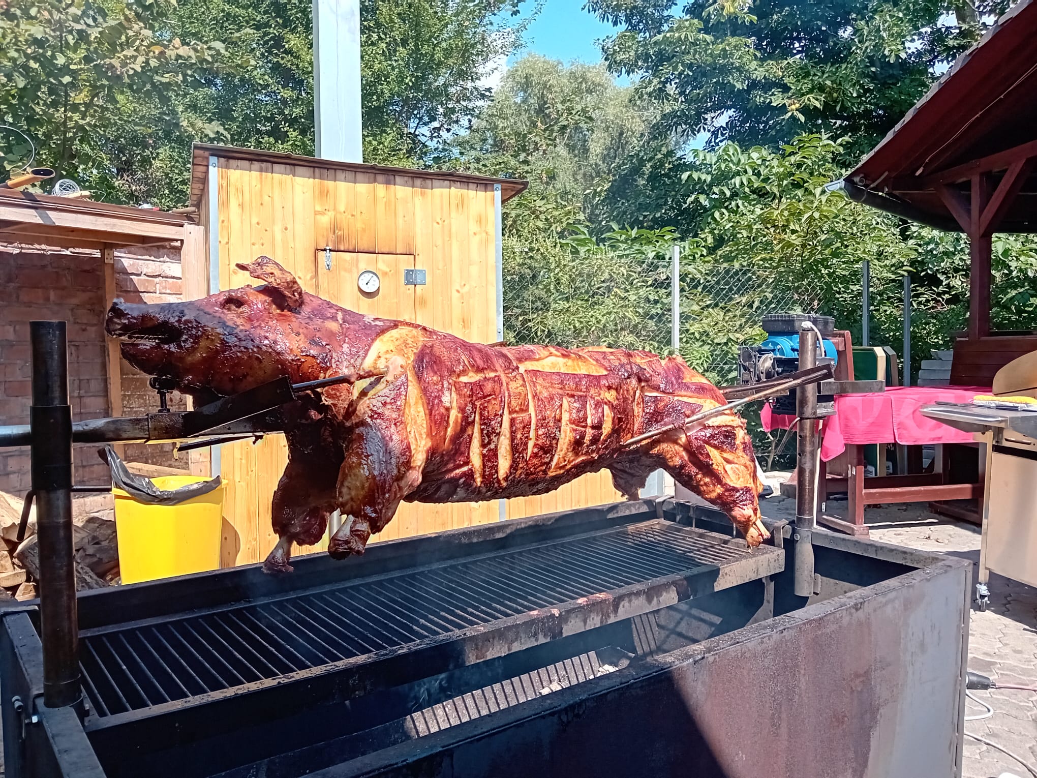 Přípitek